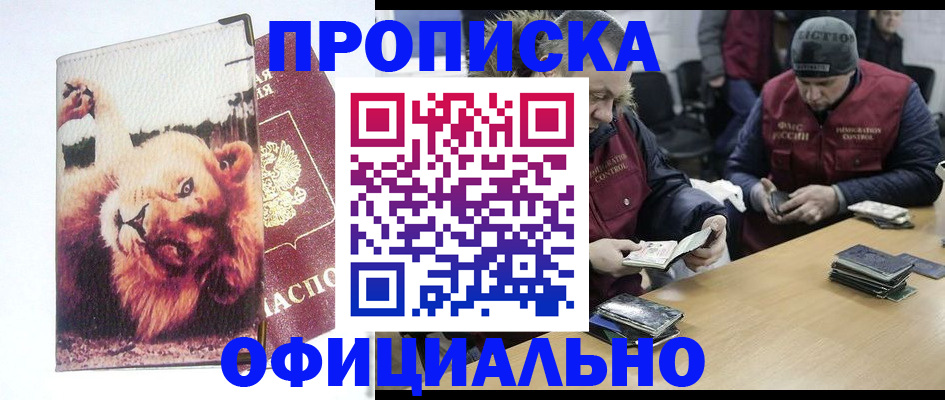 прописка в квартире в Большом Камне